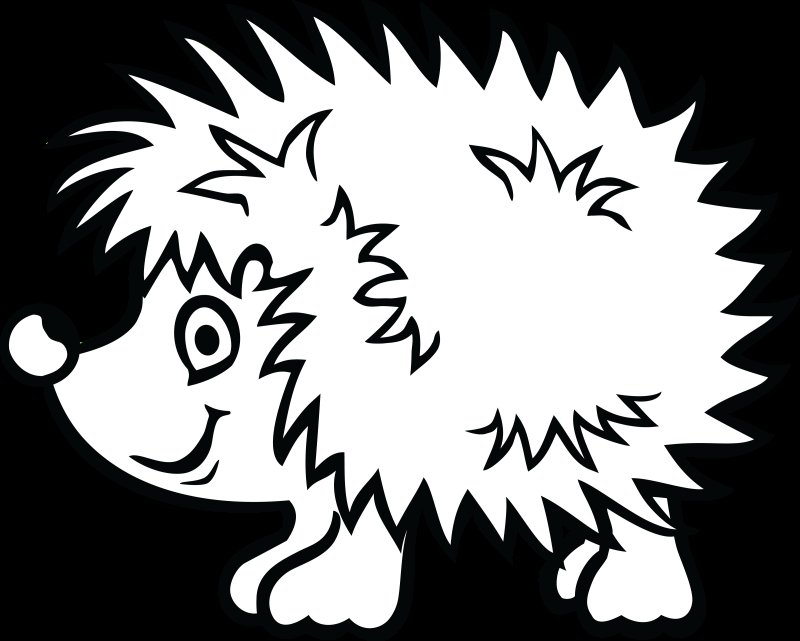 Ёжик раскраска для детей