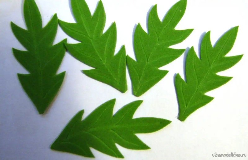 Листик ромашки