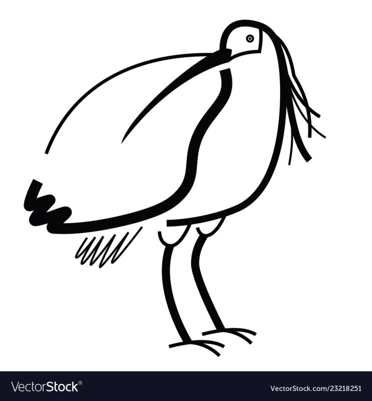 Ибис стилизация