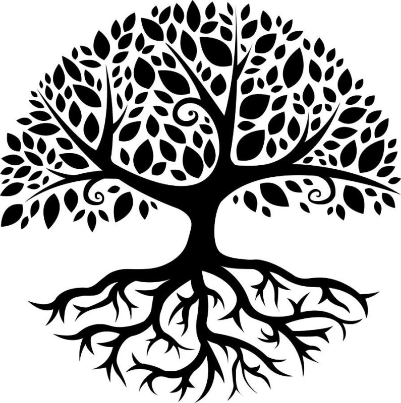 Дерево вектор