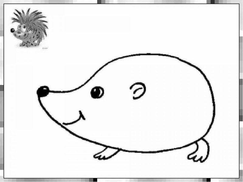 Ёжик без иголок раскраска для детей