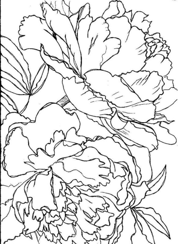 Батик цветы шаблоны