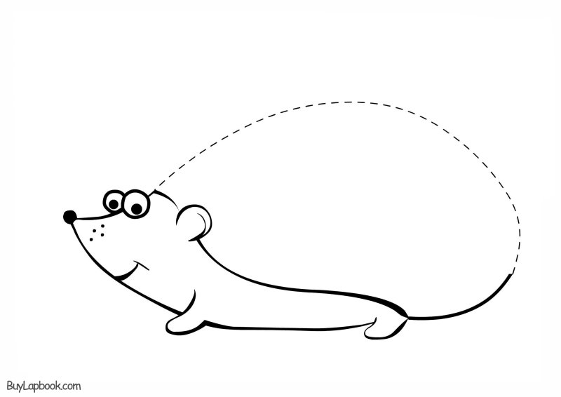 Трафарет ежика без иголок