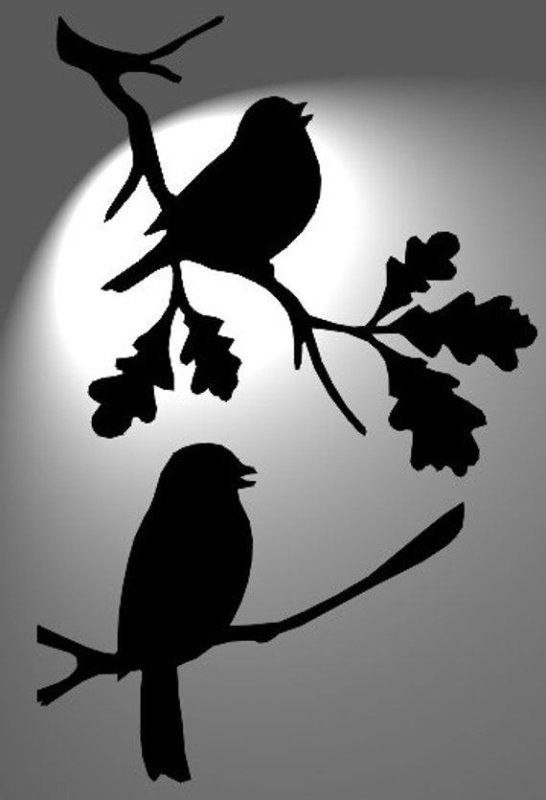 Силуэт птицы на ветке