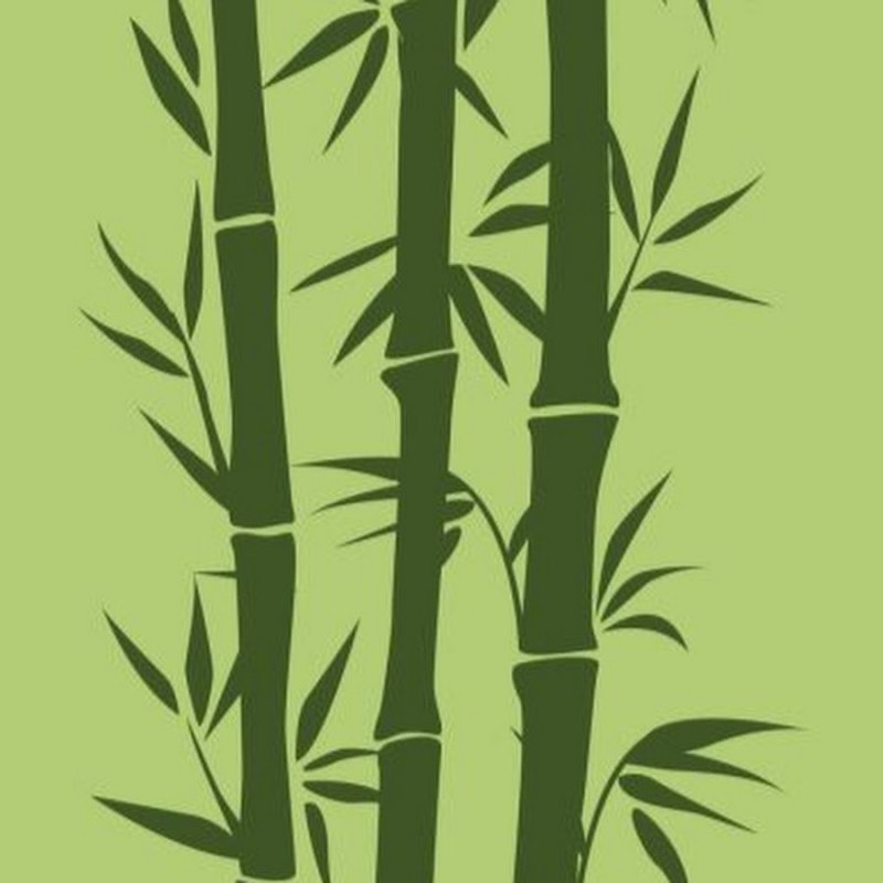 Бамбук силуэт