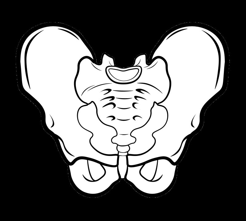 Кости таза Кощея