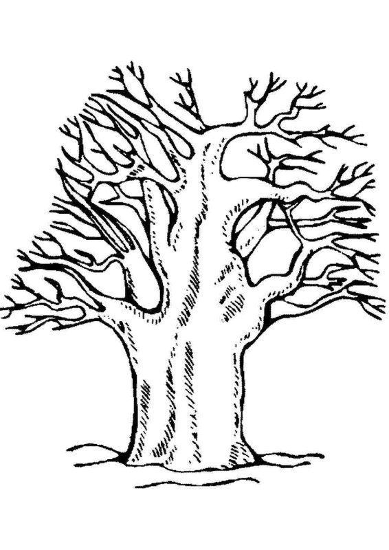 Дерево раскраска для детей