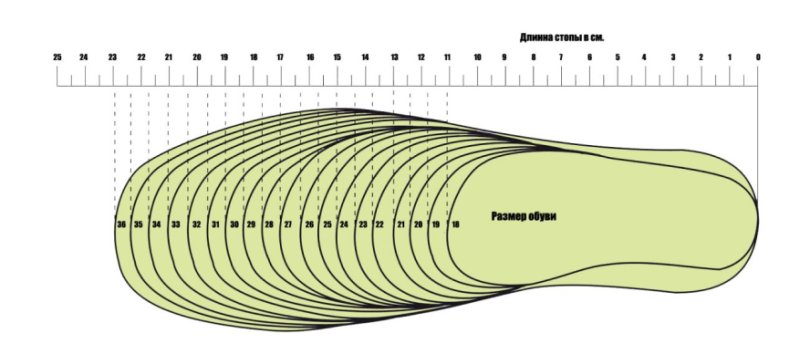 Стелька 41 размер чертеж