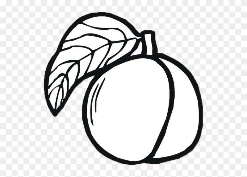 Персик раскраска