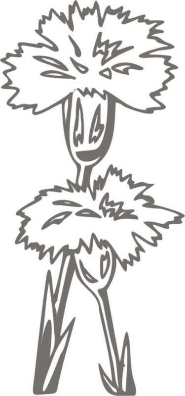 Вытынанка гвоздика к 9 мая на окна