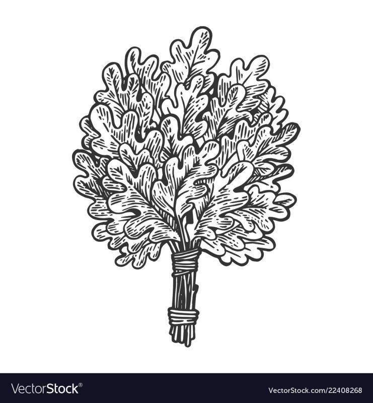 Банный веник дубовый вектор