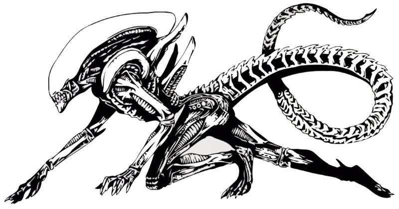 Гигер рисунки ксеноморфа