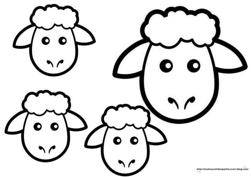 Мордочка овечки раскраска