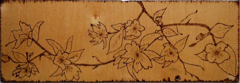 Картины для выжигания на фанере