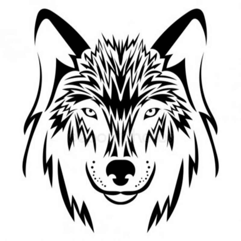 Голова волка