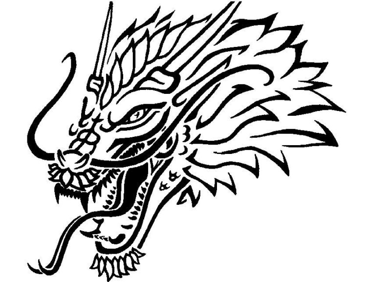 Контуры драконов