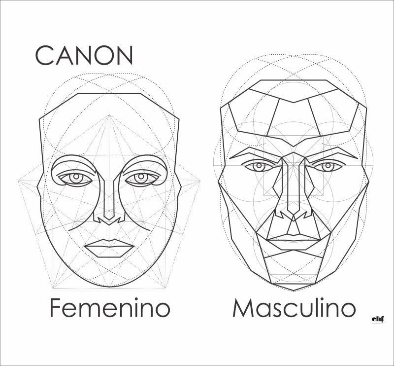 Схема идеального лица