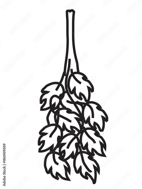 Дубовый веник вектор