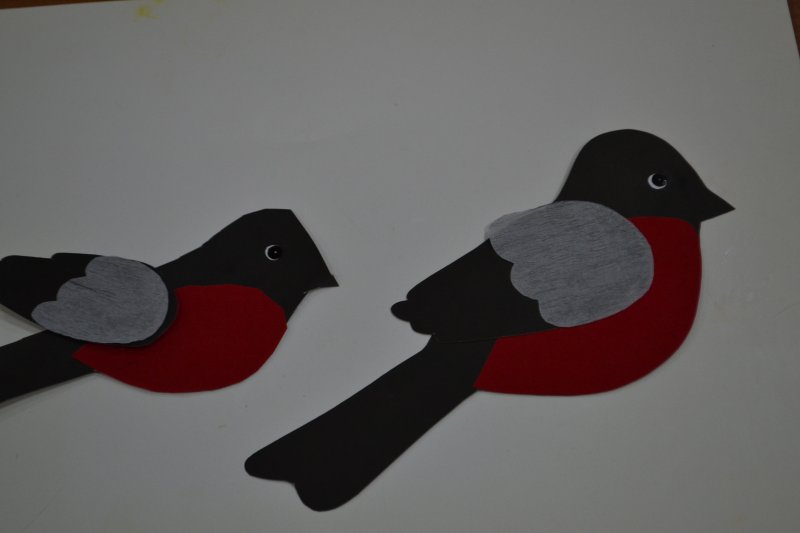 Аппликация птицы