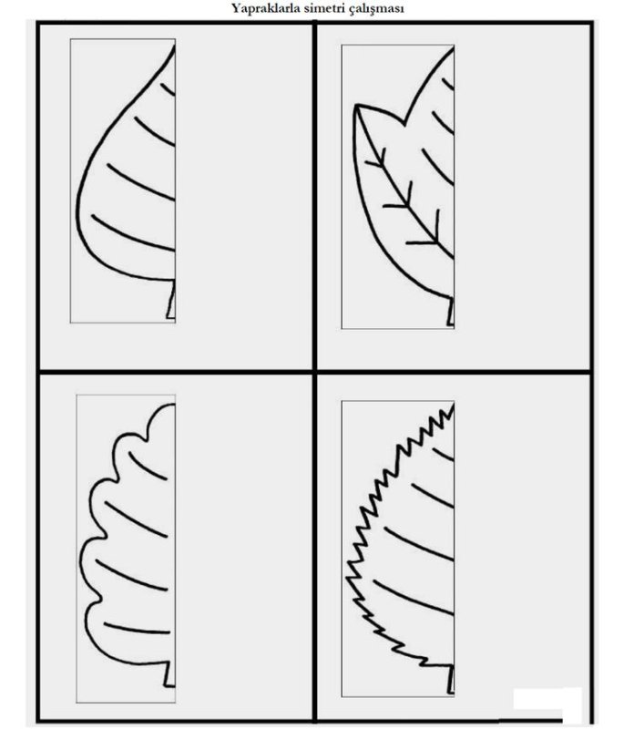 Дорисуй половинку