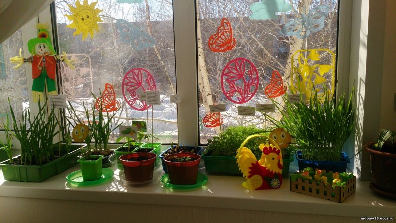 Огород на подоконнике в детском саду