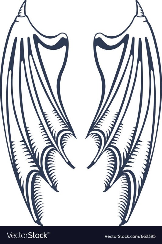 Крылья лёгкие