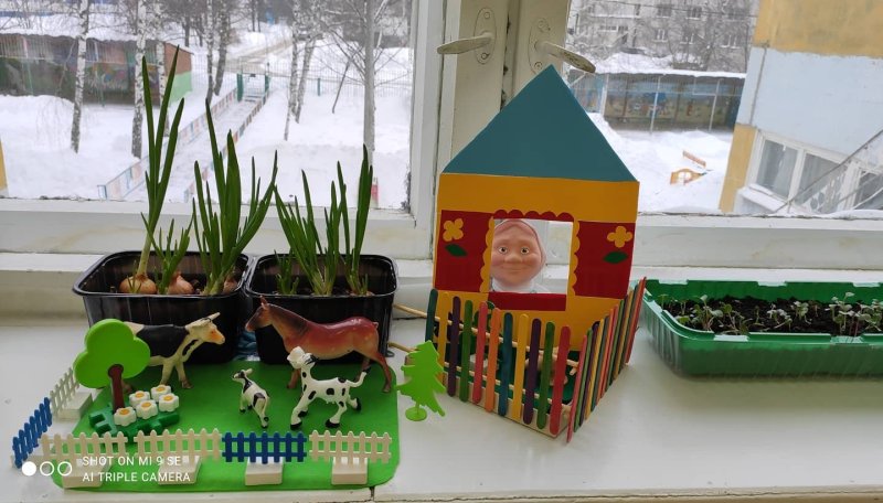 Огород на подоконнике в детском саду