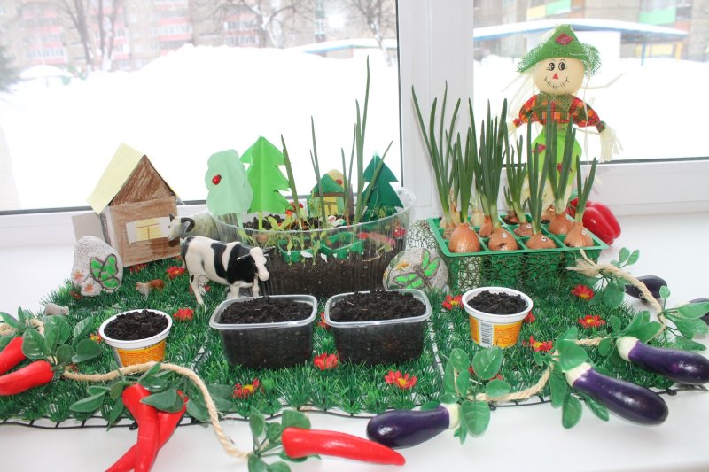 Огород на подоконнике в детском