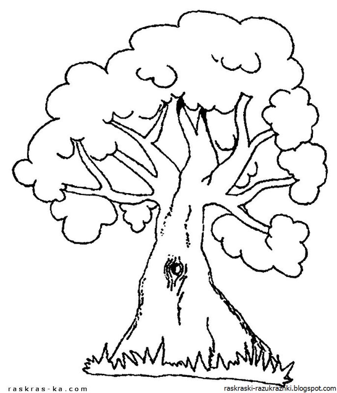 Дерево раскраска