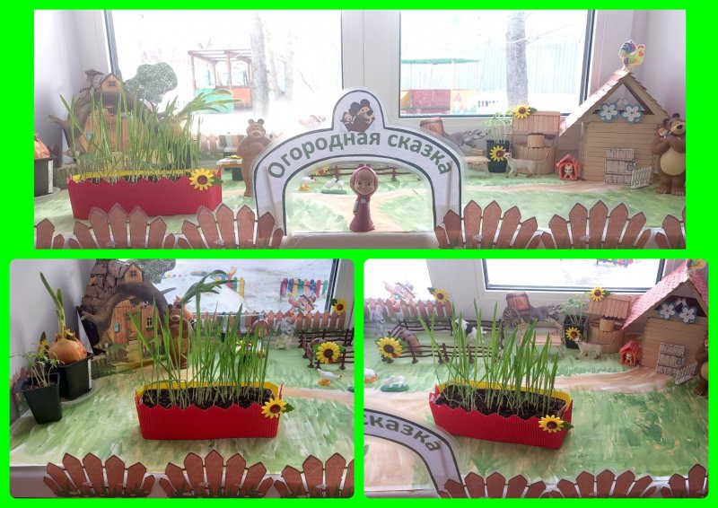 Огород на окне в детском саду