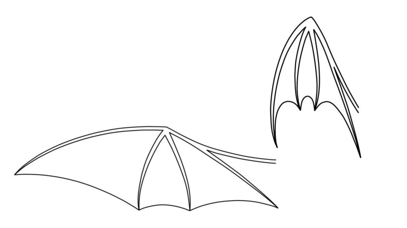 Крылья летучей мыши эскиз