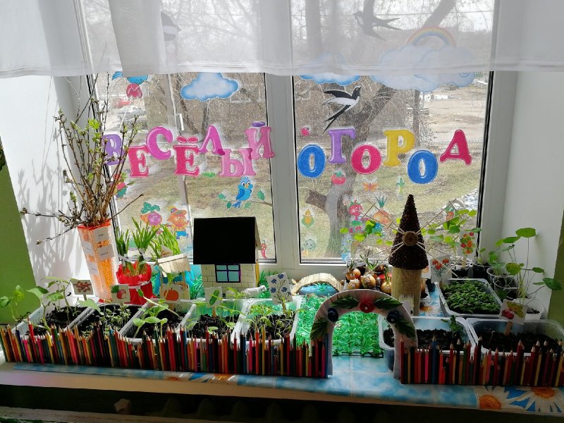 Мини огород в ДОУ на подоконнике