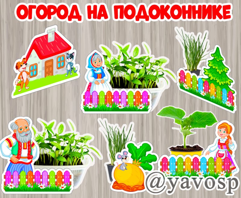 Огород на подоконнике