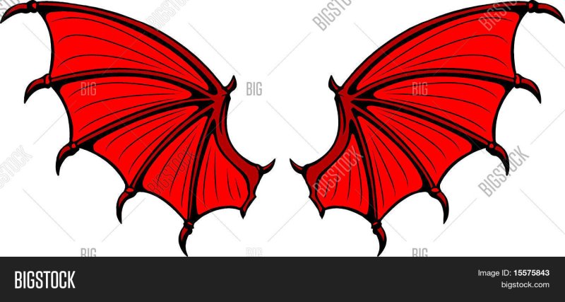 Крылья дракона рисунок