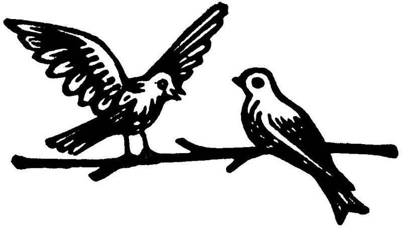 Картинки для выжигания по дереву птицы
