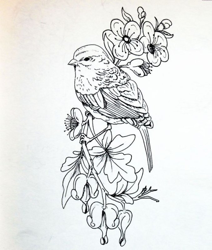 Трафареты для выжигания по дереву птицы