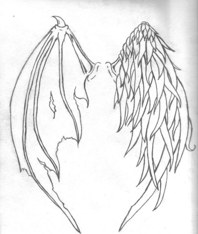 Крылья для срисовки карандашом