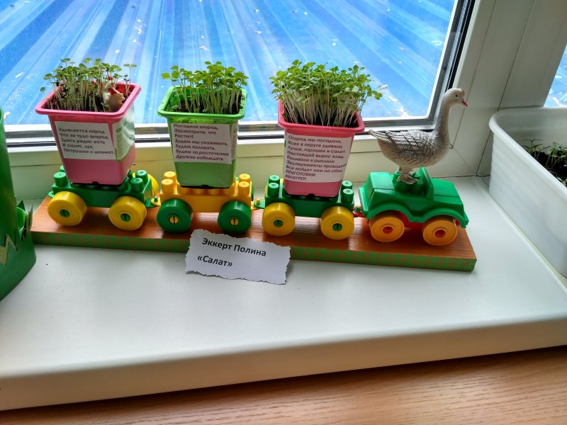 Огород на подо