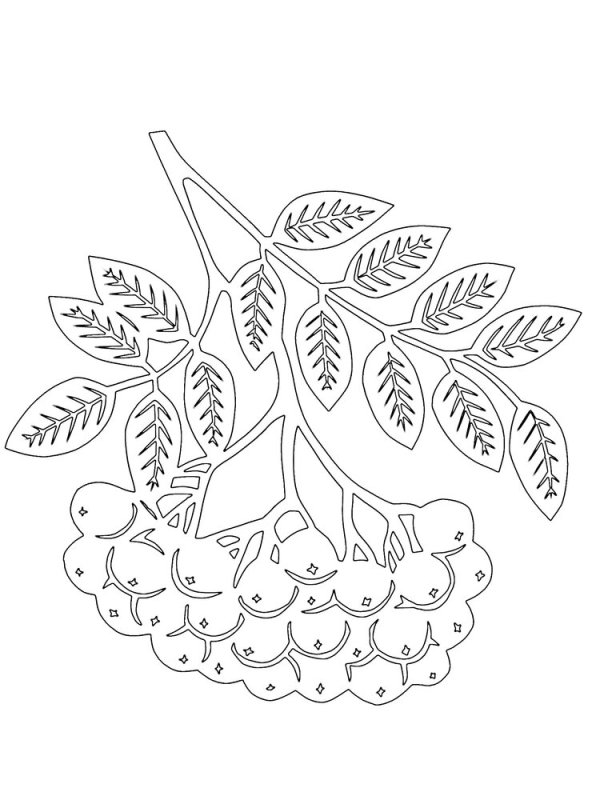 Рябина вытынанки шаблоны