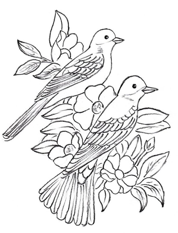 Птица рисунок