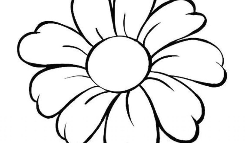 Ромашка черно белая