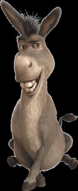 Шрек мультфильм осел