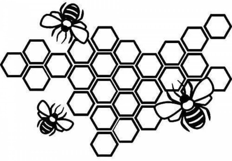 Раскраска пчела и соты