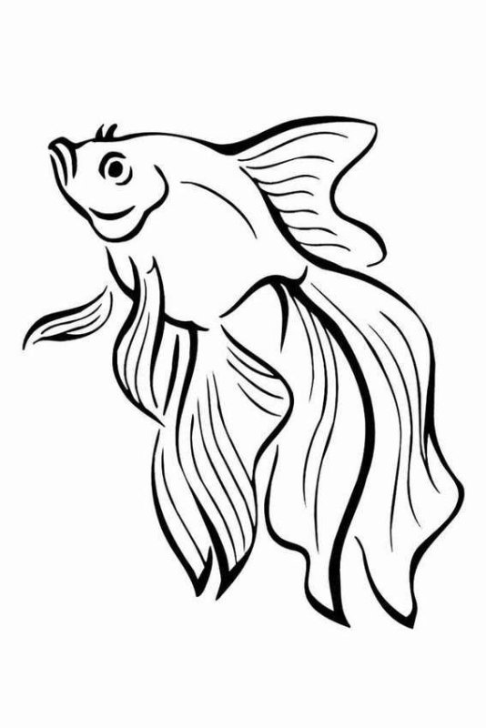 Рыбка рисунок