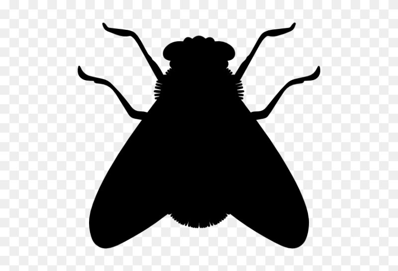 Муха силуэт