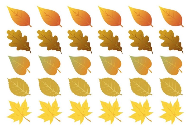 Маленькие осенние листочки