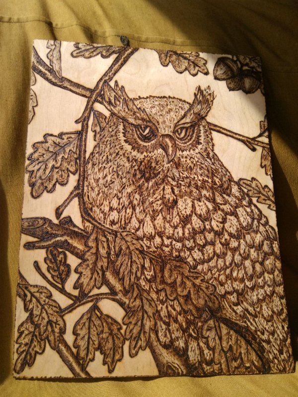 Выжигание по дереву Сова Филин