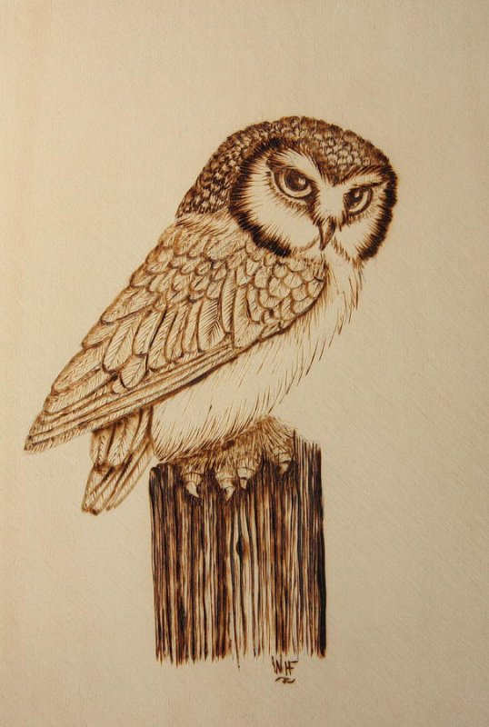 Сова выжигателем по дереву