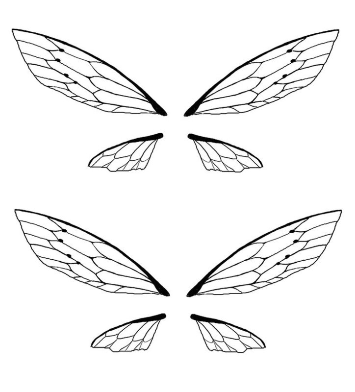 Крыло бабочки трафарет