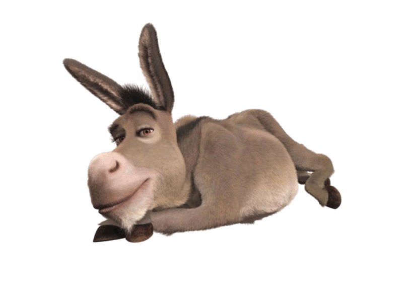 Шрек и осел на белом фоне